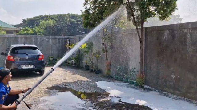 Sengat Bocah Berusia 10 Tahun, Damkar Ponorogo Evakuasi Sarang Tawon Vespa