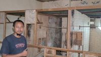 Peternak Jombang Bagikan Resep Sukses Ternak Burung Murai Batu untuk Pemula