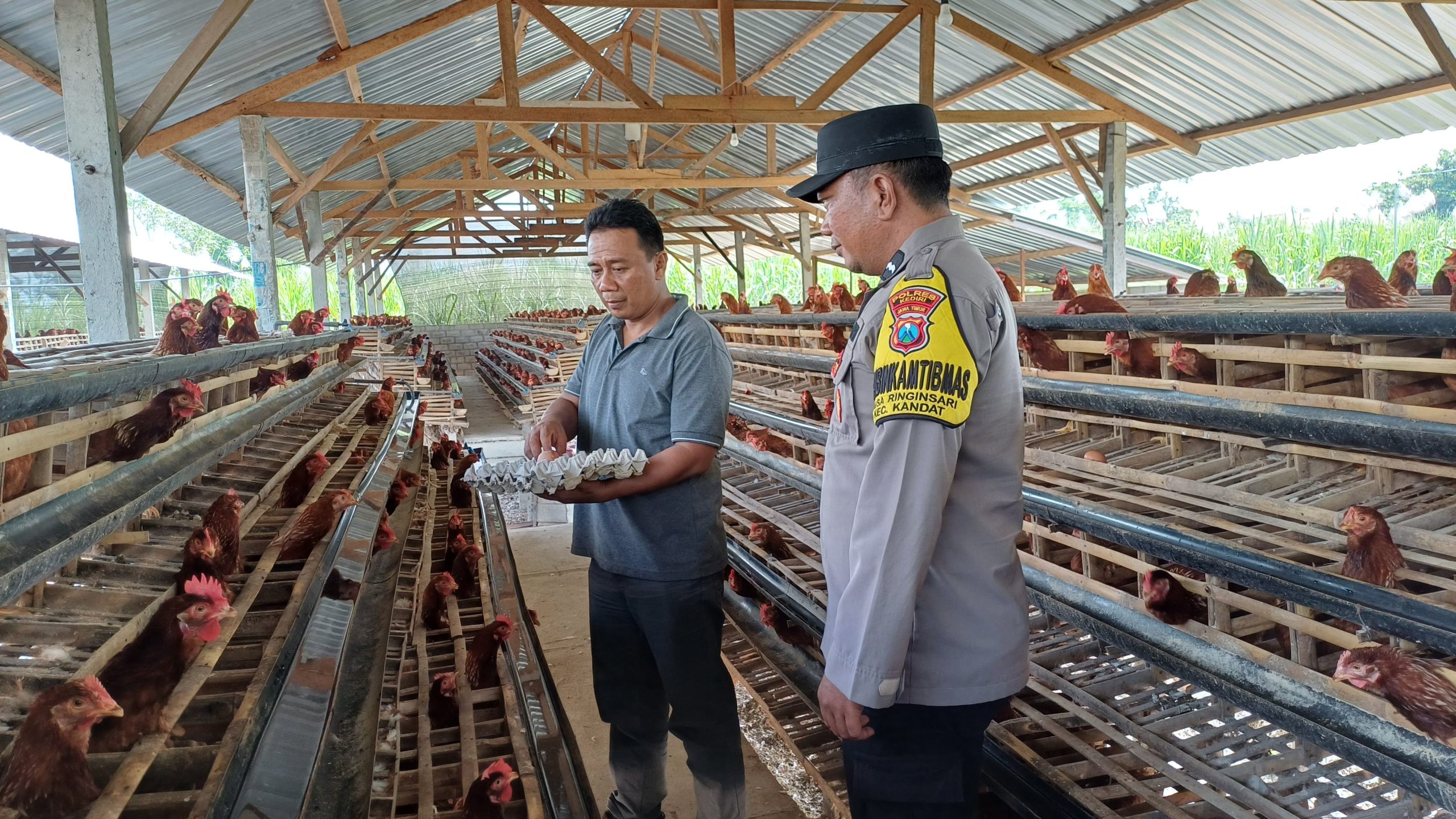 Dukung Program Ketahanan Pangan, Polsek Kandat Lakukan Pendampingan Intensitas Produksi Pangan
