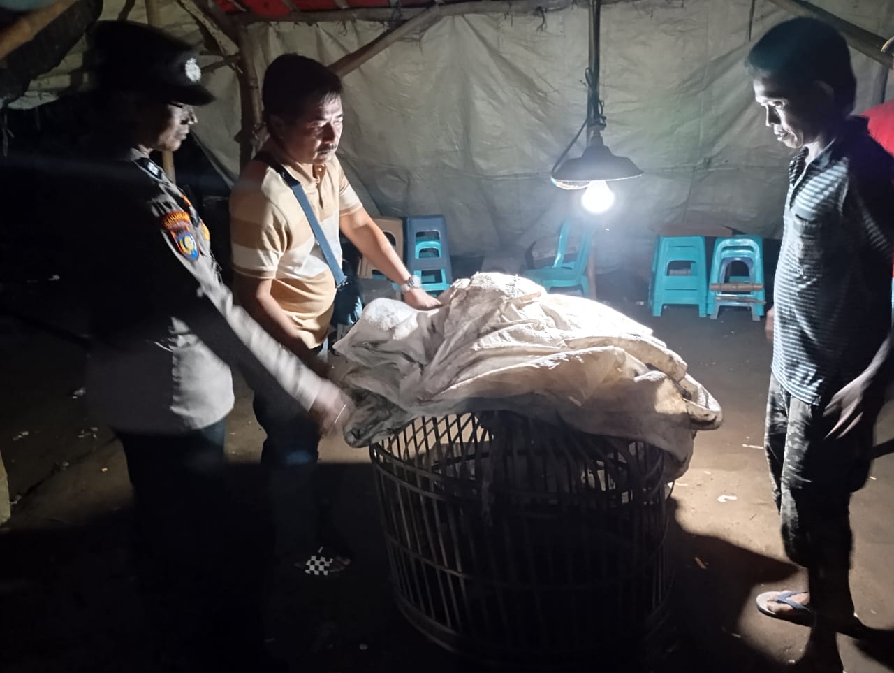 Resahkan Warga, Polsek Ngronggot Bongkar Lokasi Diduga Arena Sabung Ayam