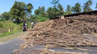 Truk Tebu Terguling, Jalan Raya Blitar-Malang Tersendat