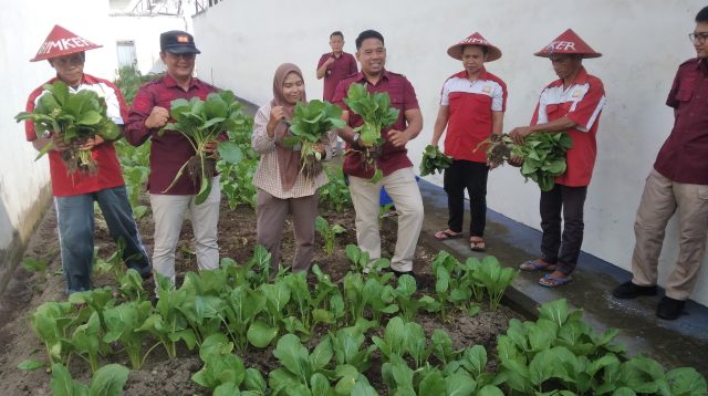 Wujudkan Ketahanan Pangan, Lapas Kelas IIB Blitar Kompak Panen Sawi Bersama Warga Binaan