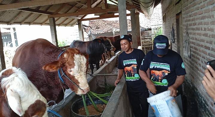 Jelang Kurban, Harga Hewan Kurban di Kota Blitar Mulai Merangkak