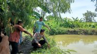 Lansia Lamongan Tewas Tenggelam di Kolam Dekat Rumah