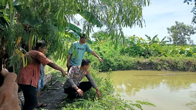 Lansia Lamongan Tewas Tenggelam di Kolam Dekat Rumah