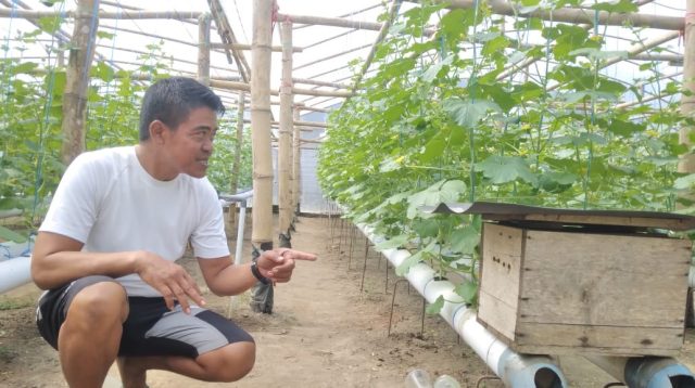 Kesibukan Bayu Setyo Kuncoro usai Gagal Melenggang sebagai Wakil Wali Kota Blitar, Sukses Bertani Melon Hidroponik, Mampu Berdayakan Warga