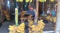 Penjual Pisang Legendaris Pasar Ngadisimo Omzet Bisa Tembus Rp1Juta per Hari