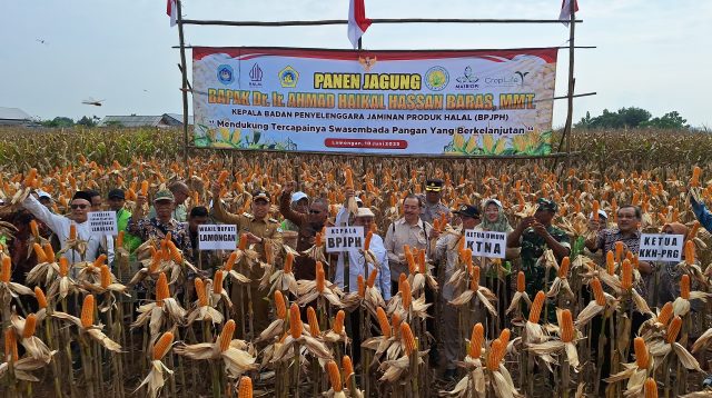 BPJPH Tegaskan Jagung Produk Rekayasa Genetik 100 Persen Halal, Dukung Swasembada Pangan di Lamongan