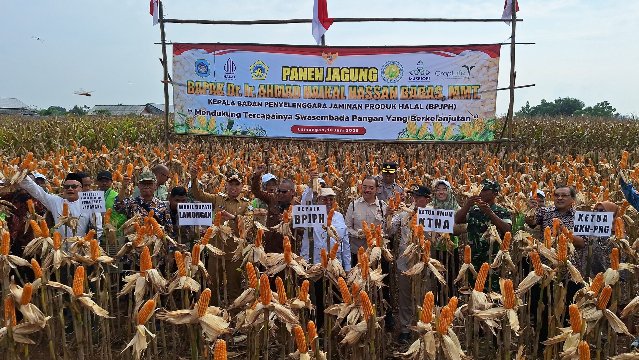 BPJPH Tegaskan Jagung Produk Rekayasa Genetik 100 Persen Halal, Dukung Swasembada Pangan di Lamongan