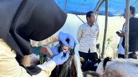 Pemkab Lamongan Gencarkan Pemeriksaan Hewan Kurban Jelang Hari Raya Idul Adha