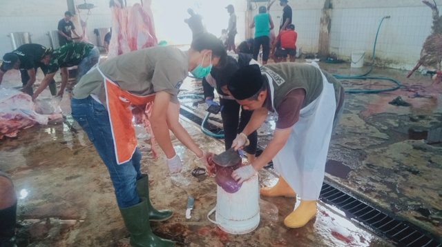 Balon Raksasa Jatuh di Depan Halaman Rumah Warga Ponorogo. Polisi: Masih Ada Api dan PetasanWaspadai Cacing Hati, Dinas Peternakan Jombang Periksa Ketat Hewan Kurban di RPH