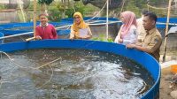 Budidaya Ikan Sistem Bioflok Tingkatkan Produksi Perikanan