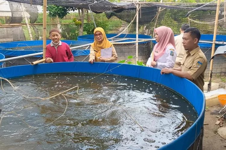 Budidaya Ikan Sistem Bioflok Tingkatkan Produksi Perikanan