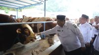 Bupati Jombang Warsubi Membeli Sapi Kurban 912 Kilogram