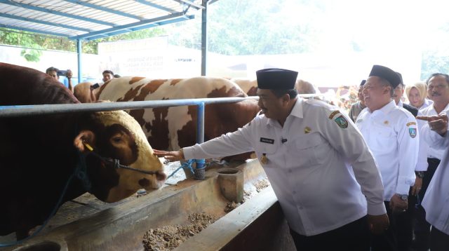 Bupati Jombang Warsubi Membeli Sapi Kurban 912 Kilogram