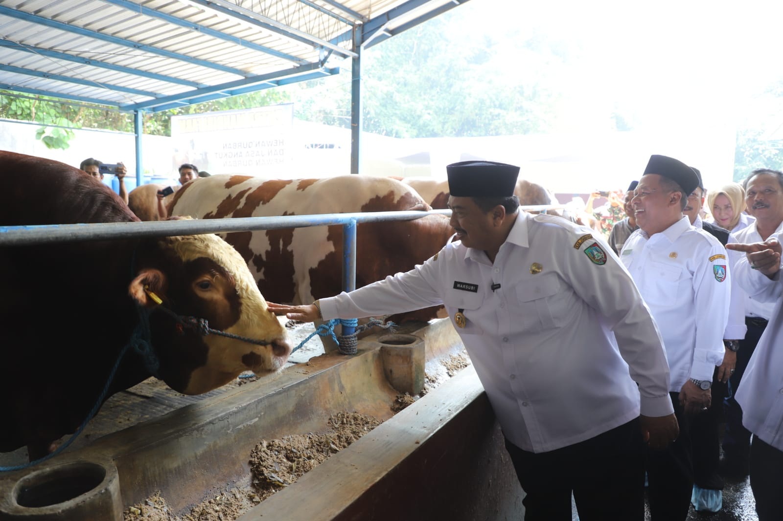 Bupati Jombang Warsubi Membeli Sapi Kurban 912 Kilogram