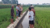 Tersambar Petir di Sawah, Pemuda Jombang Tewas di Tempat
