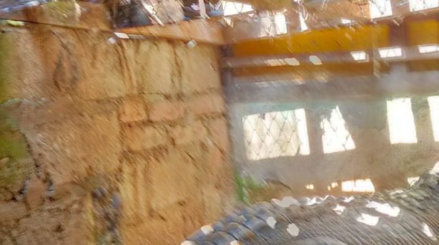 Geger Buaya Piaraan Warga Blitar Semakin Besar, Damkar Tak Berani Evakuasi