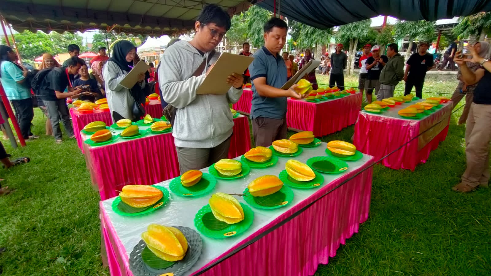 Kebun Belimbing Karangsari, Bisa Rasakan Sensasi Petik Buah dari Pohonnya Langsung