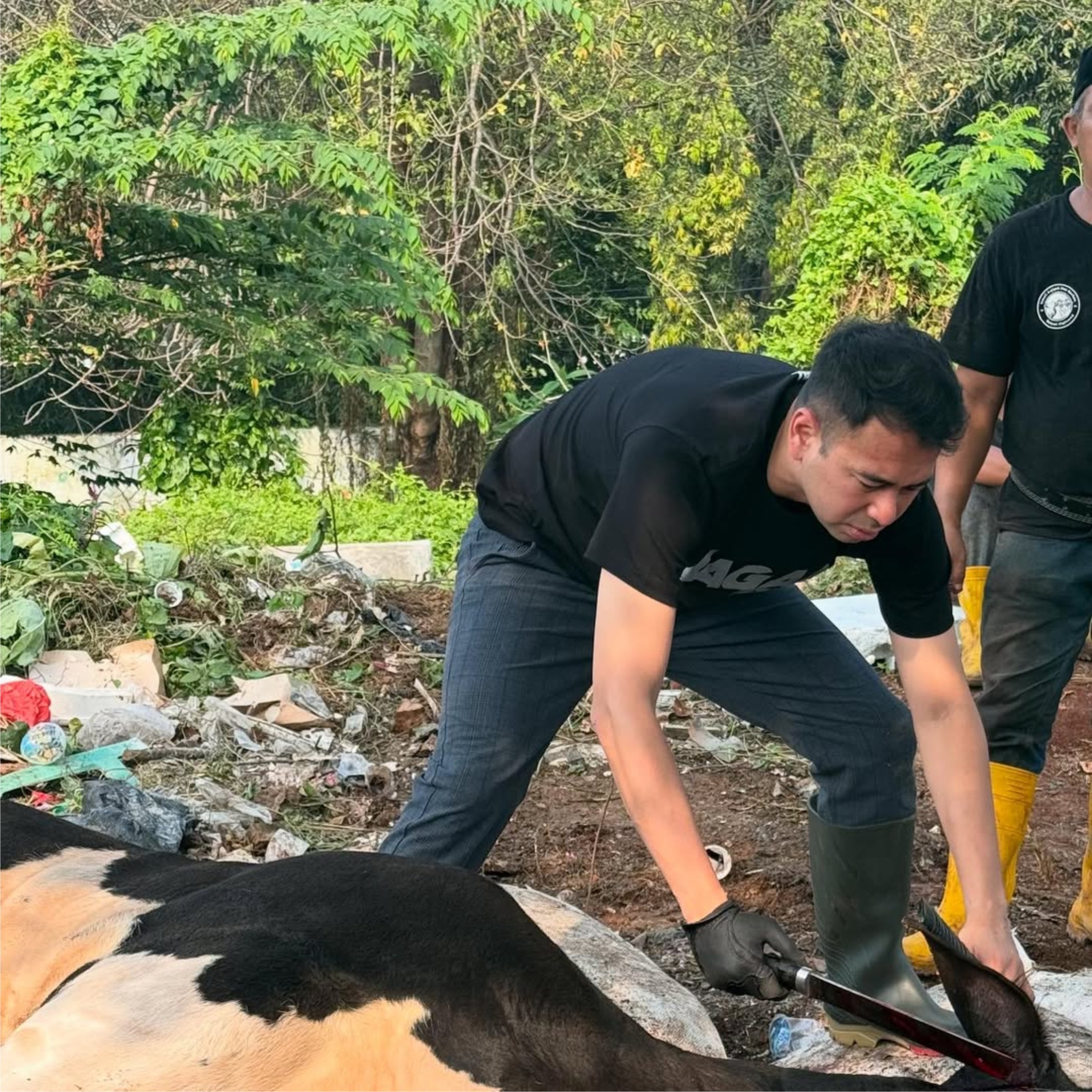 Setiap Idul Adha, Sejumlah Publik Figur Berlomba untuk Menyembelih Hewan Kurban, Salah Satunya Raffi Ahmad.