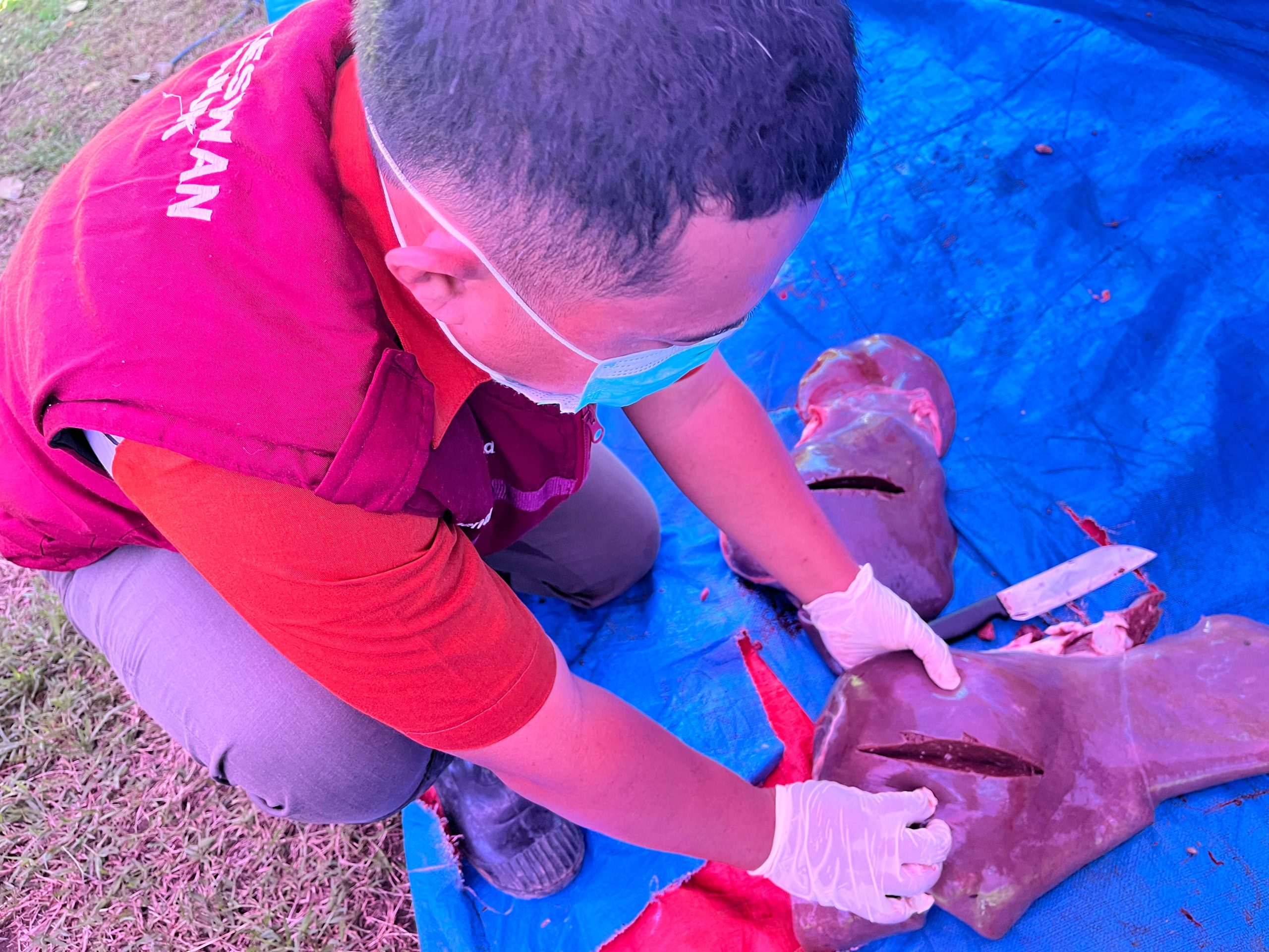 Daging Kurban Hasil Penyembelihan di Masjid Al Islah Jatirejo Nganjuk Dinyatakan ASUH