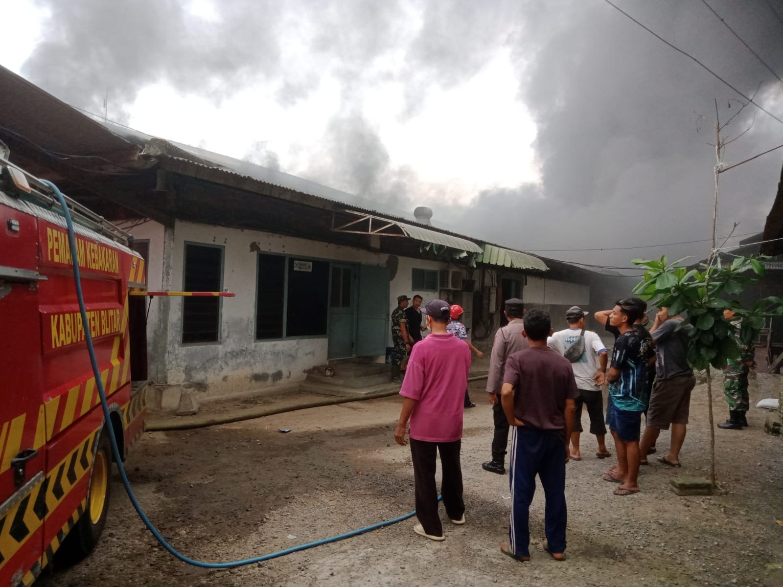 Gudang Kandang Ayam Blitar Merugi Rp 200 Juta Imbas Korsleting Listrik
