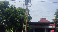 Pekerja Tersengat Listrik Saat Ganti Kabel di Singosari