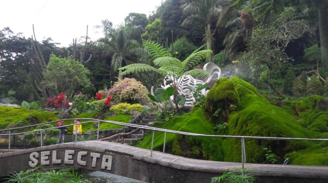 Bukit Lumut, Ikon Wisata Baru di Selecta Batu dengan Nuansa Alam dan Sejarah