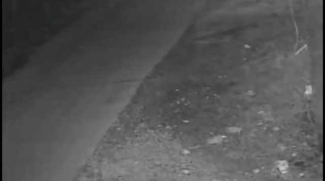 Pencurian Mesin Diesel Teror Petani di Jombang, Empat Unit Raib Sekaligus dalam Semalam