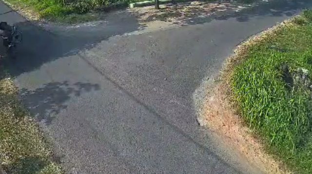 Kecelakaan Adu Banteng di Kedungrejo Nganjuk, Pengayuh Sepeda Kritis Dihantam Motor