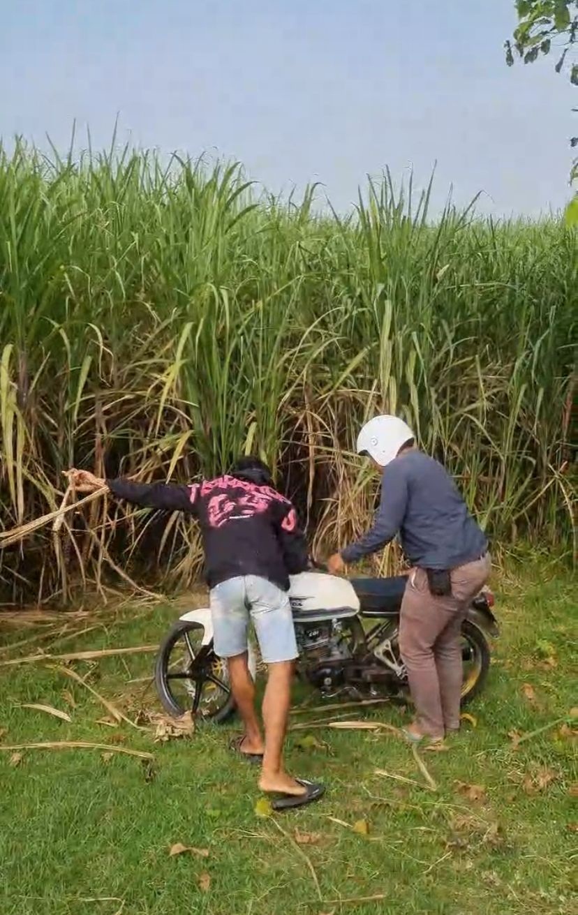 Gelapkan Motor Saat COD, Pemuda Asal Purwoasri Ditangkap Polisi di Kediri