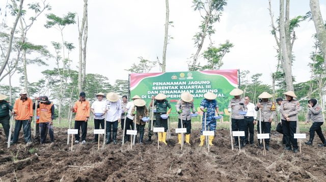 Polres Jombang Tanam Jagung Serentak Satu Juta Hektare, Dukung Swasembada Pangan Nasional