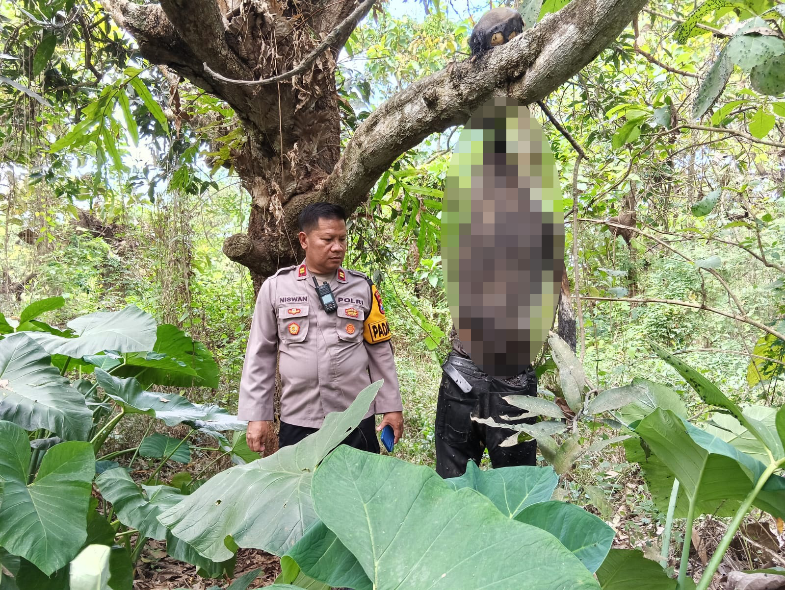 Ditemukan Membusuk dan Tinggal Kerangka, Jasad Pria Menggantung Gegerkan Warga Jombang