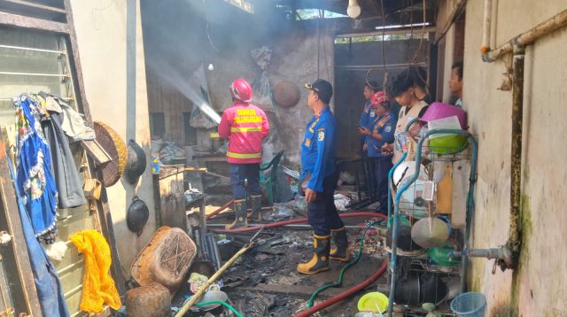 Gudang dan Tempat Penetasan Ayam di Tulungagung Terbakar, Diduga Korsleting Listrik