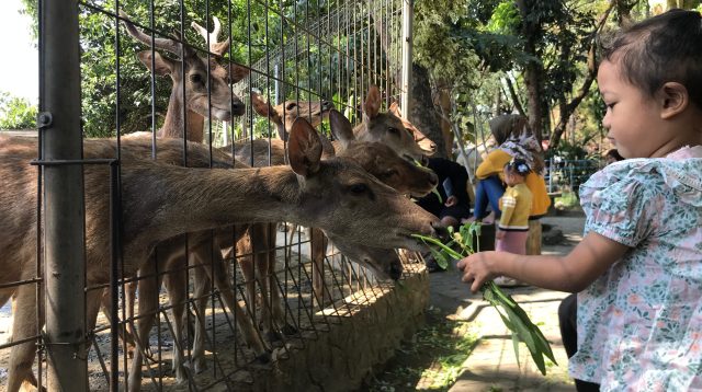 Taman Brigif Wira Yudha Destinasi Ramah Keluarga