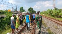 Tertabrak Kereta Api di Lamongan, Pejalan Kaki Tewas dengan Tubuh Terpisah
