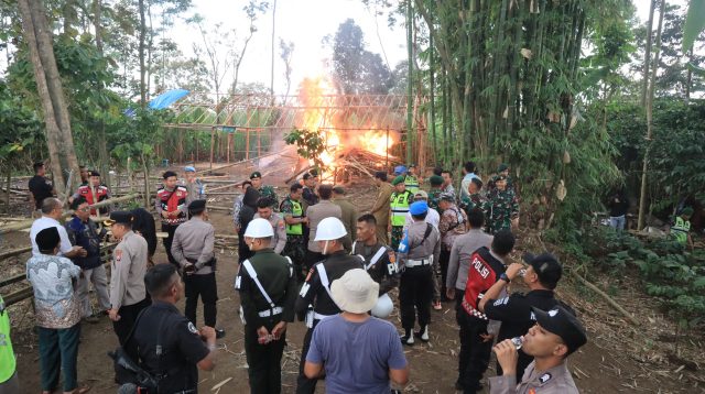 Lapak Judi Sabung Ayam di Singosari Dibongkar Polisi, Pemilik Lahan Diduga Terlibat
