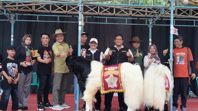 Ratusan Kambing PE Kaligesing Adu Kualitas Genetik, Wonosalam Jadi Panggung Peternakan Unggul Nusantara