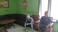 Manusia Silver di Ponorogo Tiga Kali Terjaring Satpol PP, Pernah Jadi Badut hingga Pindah Modus