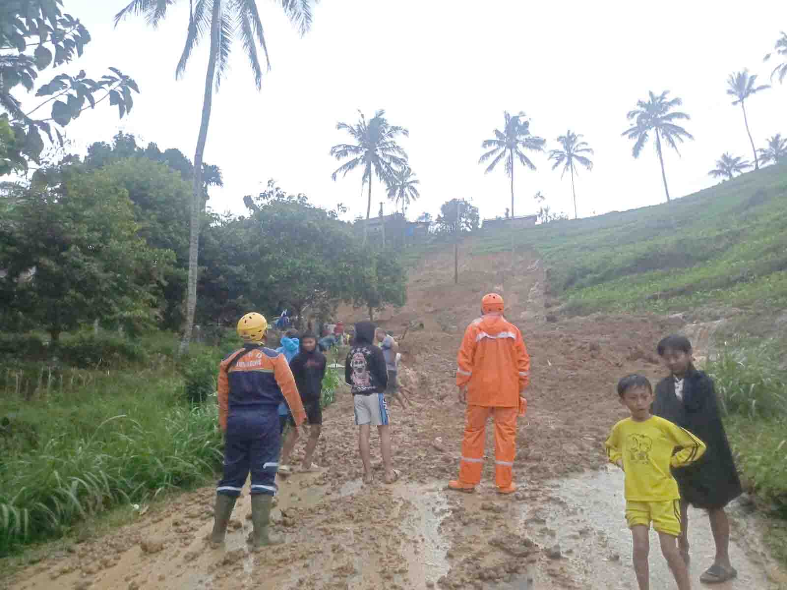 Longsor di Desa Kradinan Pagerwojo Tutup Jalan Utama, Kini Bisa Dilalui Kendaraan Ringan