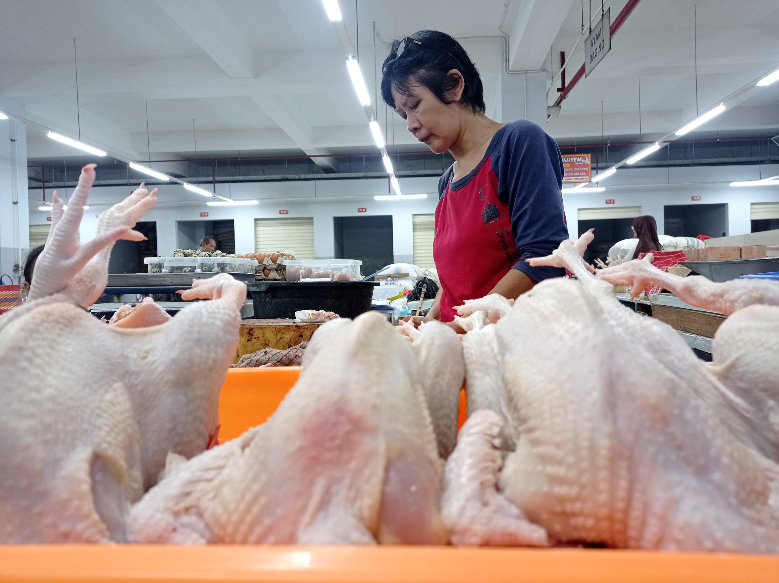 Harga Ayam di Pasar Legi Ponorogo Melonjak Drastis, Pedagang dan Pembeli Mengeluh