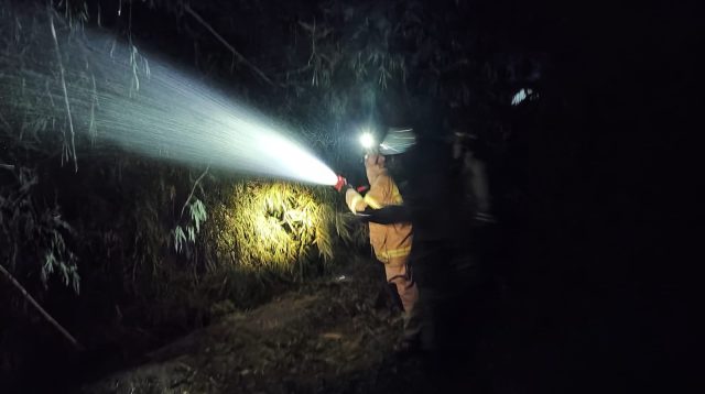 Bakar Sampah Ditanggalkan, Rumpun Bambu di Nganjuk Ludes Terbakar
