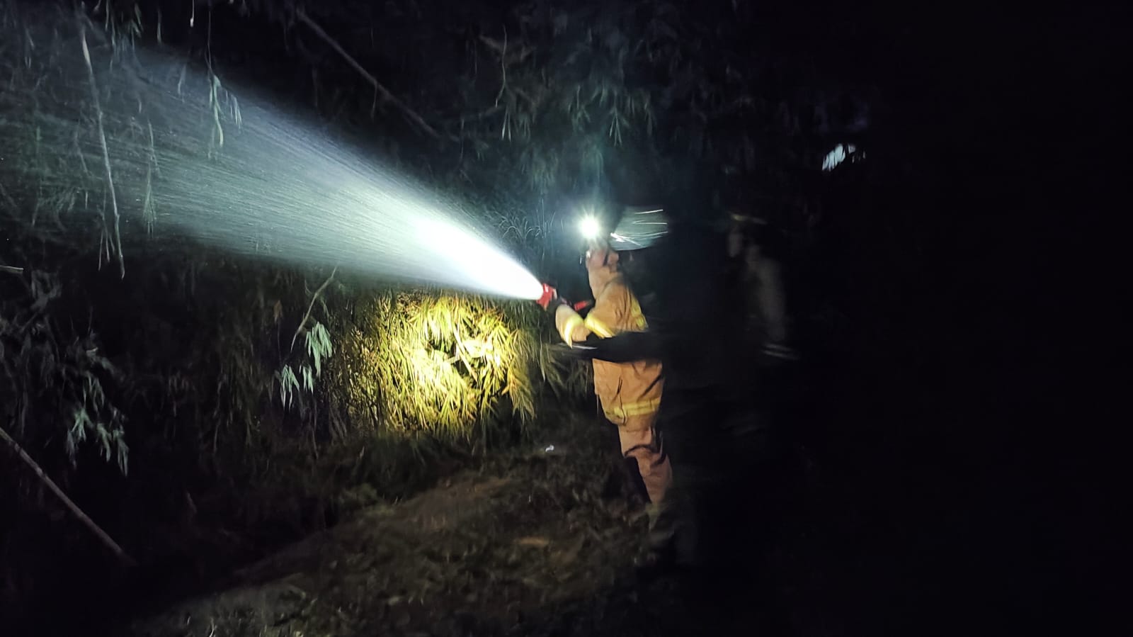 Bakar Sampah Ditanggalkan, Rumpun Bambu di Nganjuk Ludes Terbakar