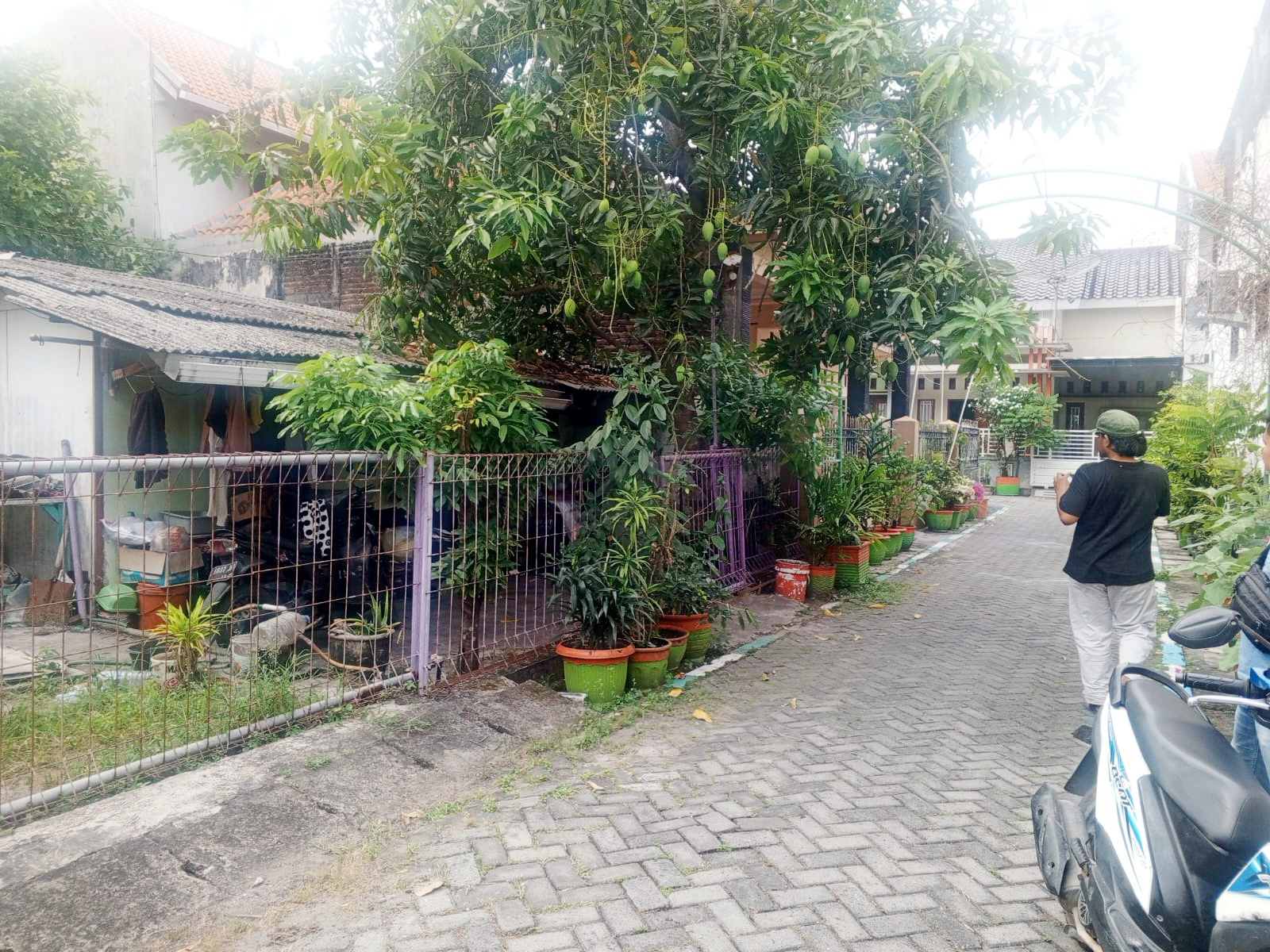 Identitas Korban Mutilasi Pacet Terungkap, Warga Lamongan Berduka