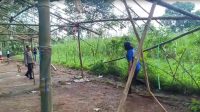 Polisi Gerebek Lokasi Sabung Ayam di Singosari
