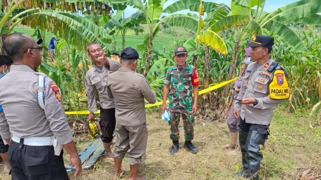 Geger Penemuan Mayat Pria Tanpa Busana di Parit Kawasan Hutan Lamongan