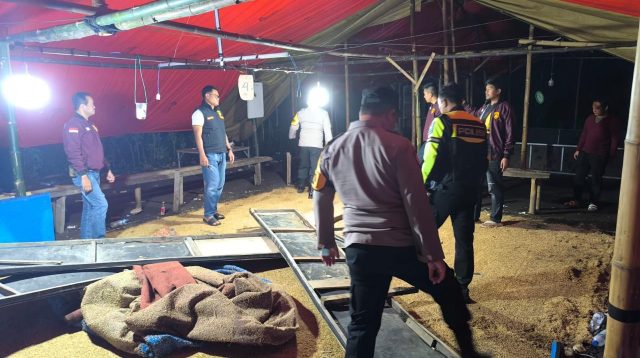 Arena Sabung Ayam di Mangunrejo Digerebek, Pejudi Kabur ke Persawahan
