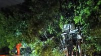 Cuaca Ekstrem, 31 Pohon Tumbang di 11 Titik Kota Batu