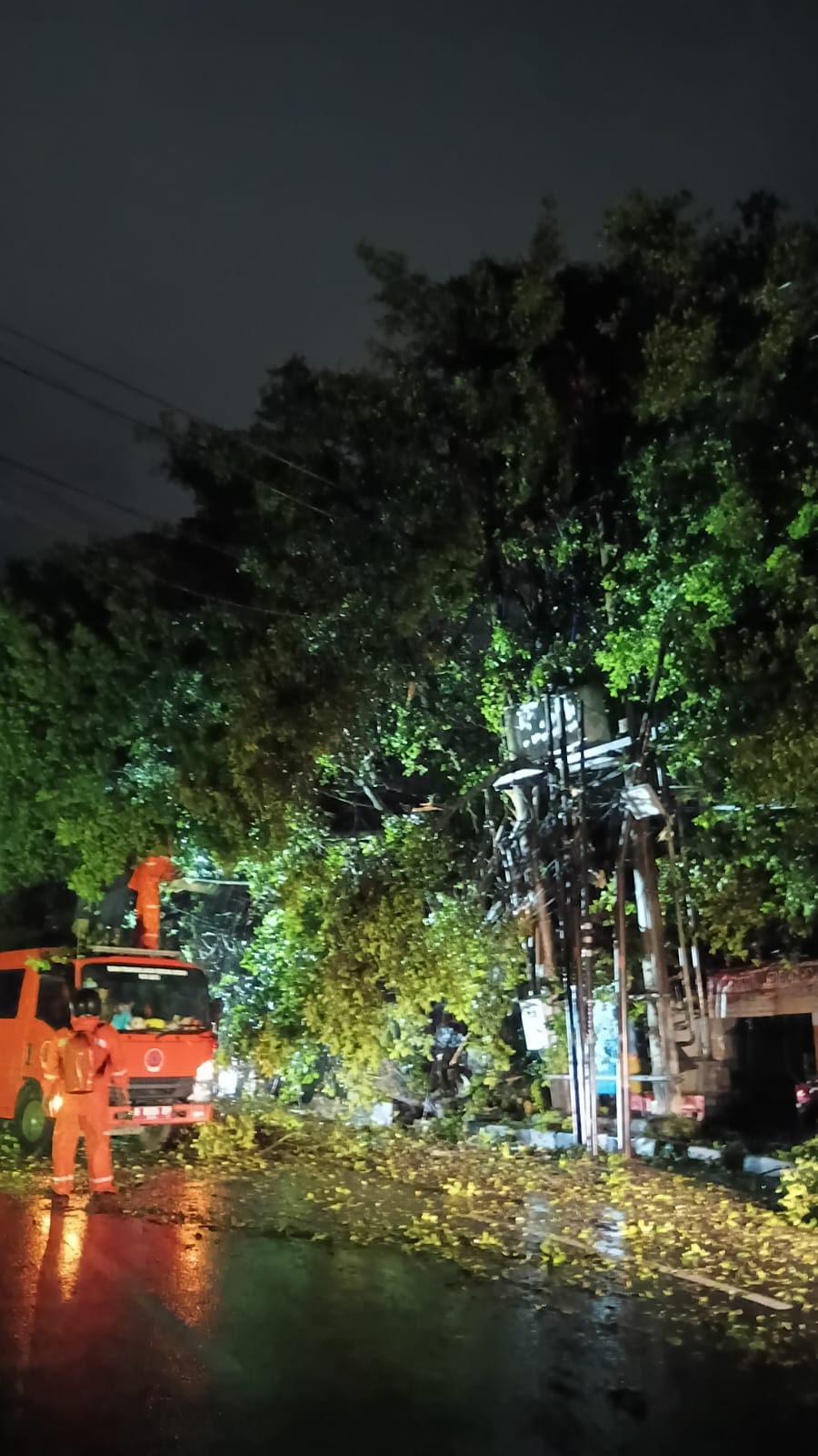 Cuaca Ekstrem, 31 Pohon Tumbang di 11 Titik Kota Batu
