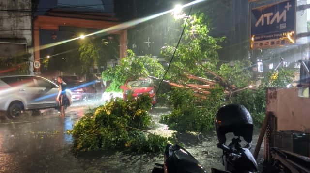 Angin Kencang Robohkan Pohon, Timpa Mobil di Kawasan Kaliwungu Jombang